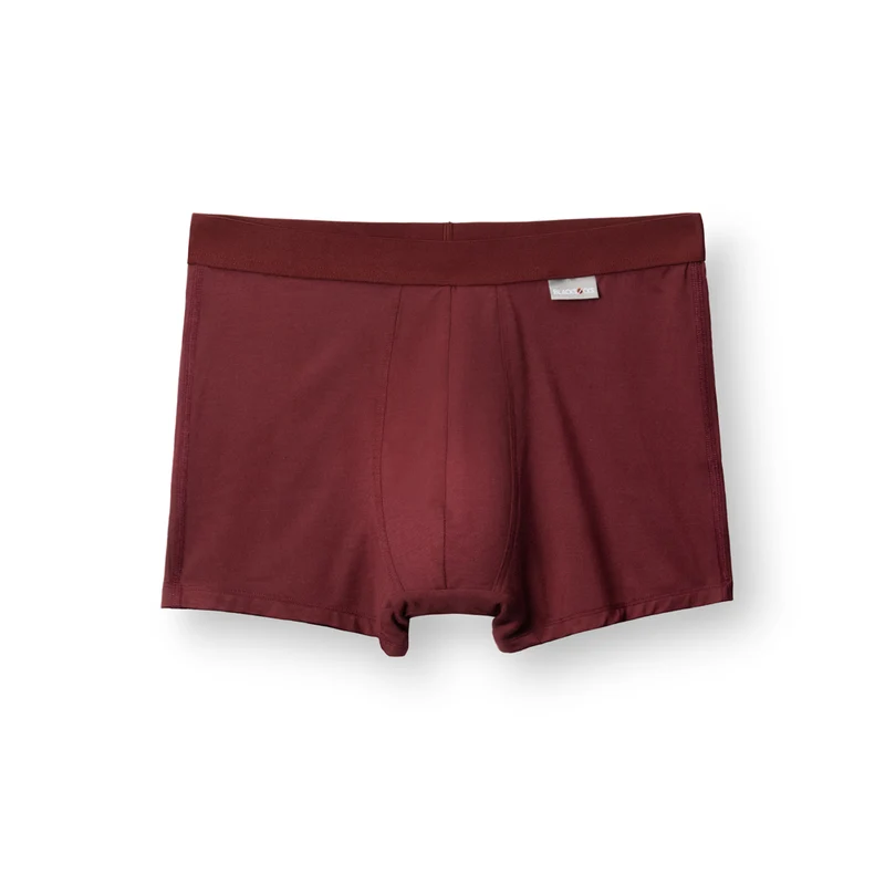 Boxer Maxine / Bordeaux