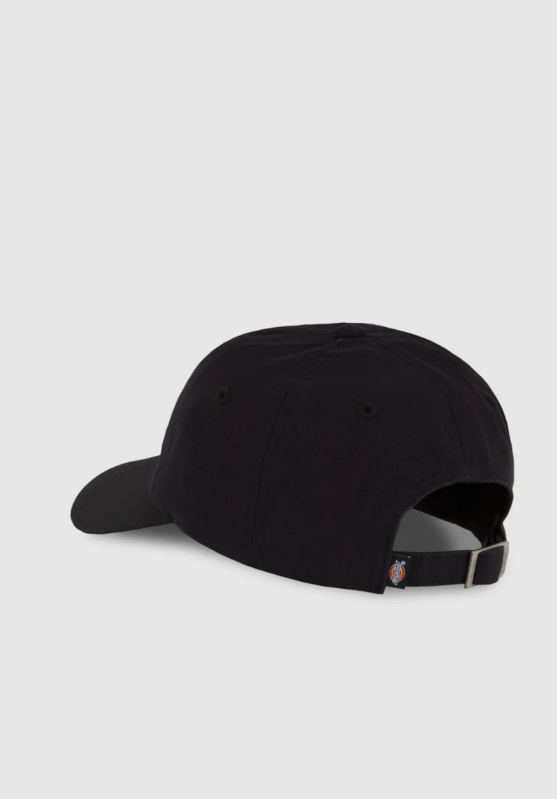 Duck Canvas Dad Cap