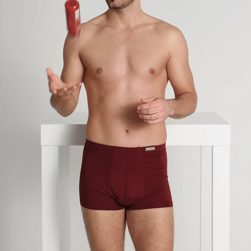 Boxer Delphine / Bordeaux