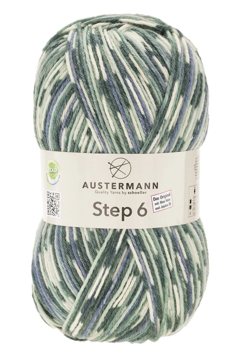 Step 6 Color EXP | 6-fach Sockenwolle | Farbe: 786 - ASCHE