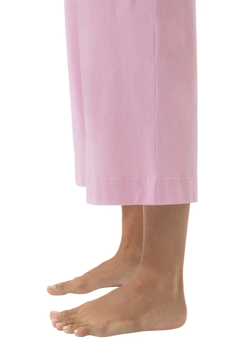 Culotte
