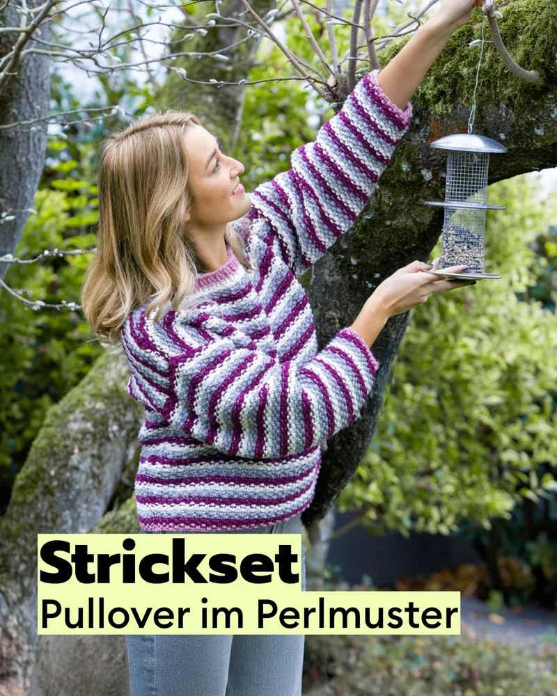 Strickset gestreifter Pulli im Perlmuster