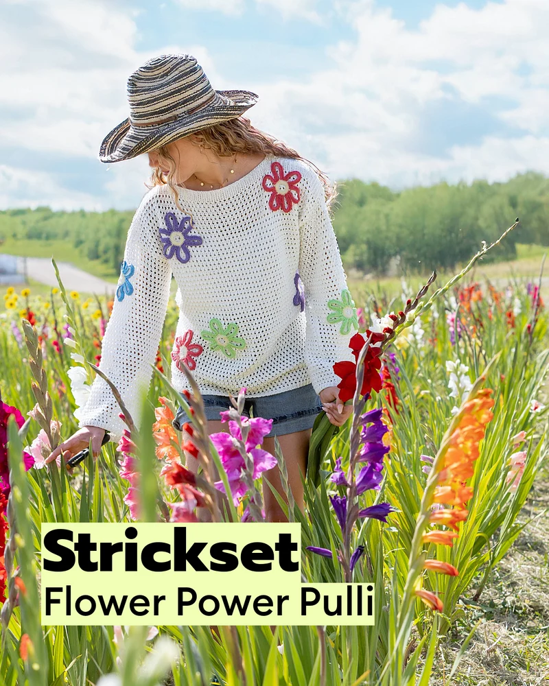Strickset Pullover Flower Power
