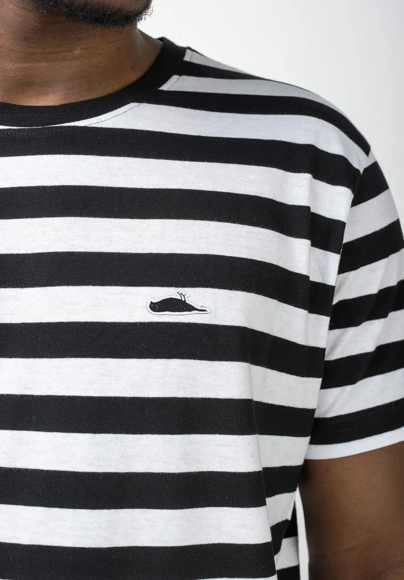 Frame Stripe