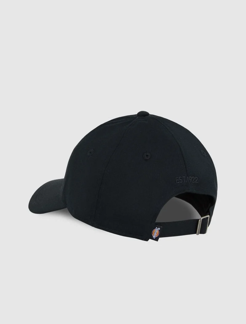 Essential Dad Cap