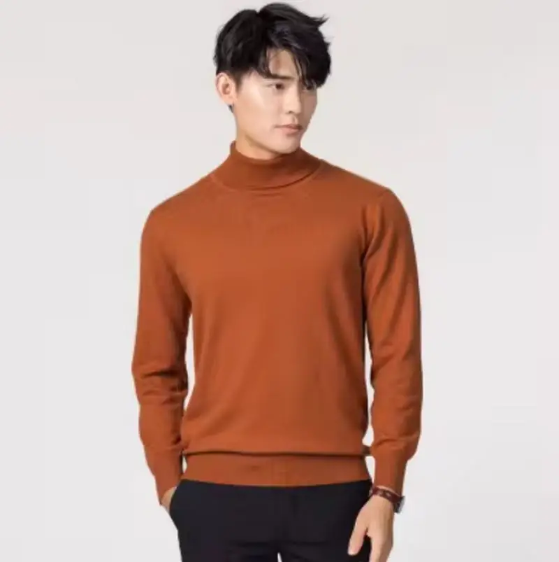 Herren Rollkragen Pullover Sweatshirt Leichter Pulli Sweater Shirt Langarmshirt