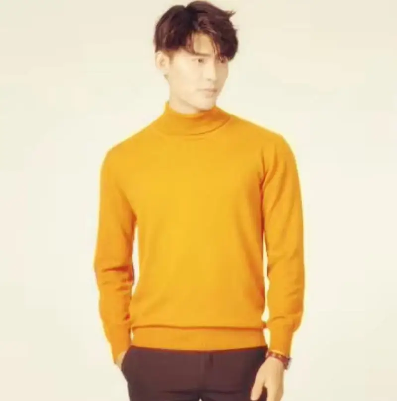 Herren Rollkragen Pullover Sweatshirt Leichter Pulli Sweater Shirt Langarmshirt