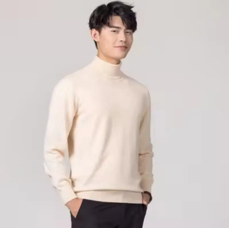 Herren Rollkragen Pullover Sweatshirt Leichter Pulli Sweater Shirt Langarmshirt