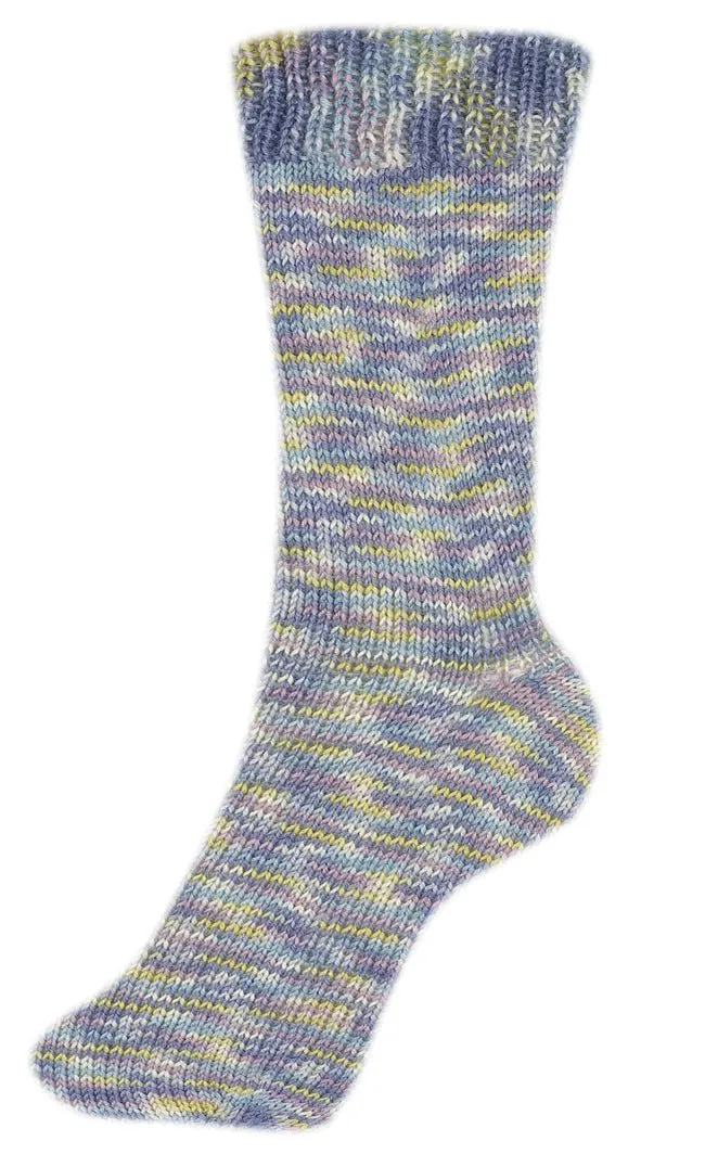 Fortissima bunte 4-fach Sockenwolle | Farbe 2411 - NATUR