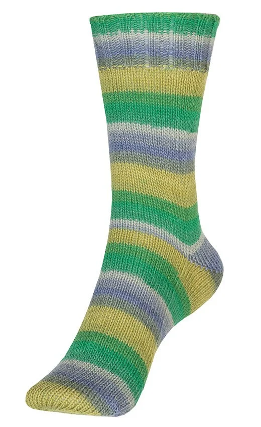 Fortissima bunte 4-fach Sockenwolle | Farbe 2429 - KAWAGOE