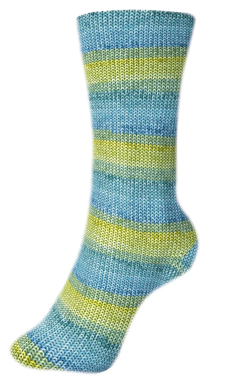 Fortissima 6-fach bunte Sockenwolle 150g | Farbe 200 - LIBELLE