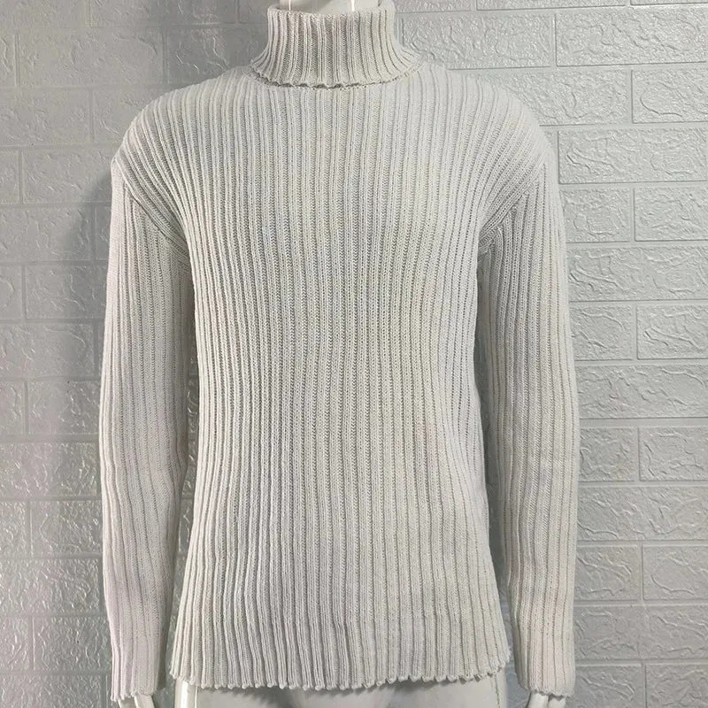 Herren Rollkragen Pullover Sweatshirt Pulli Zipper Sweater Shirt Langarmshirt