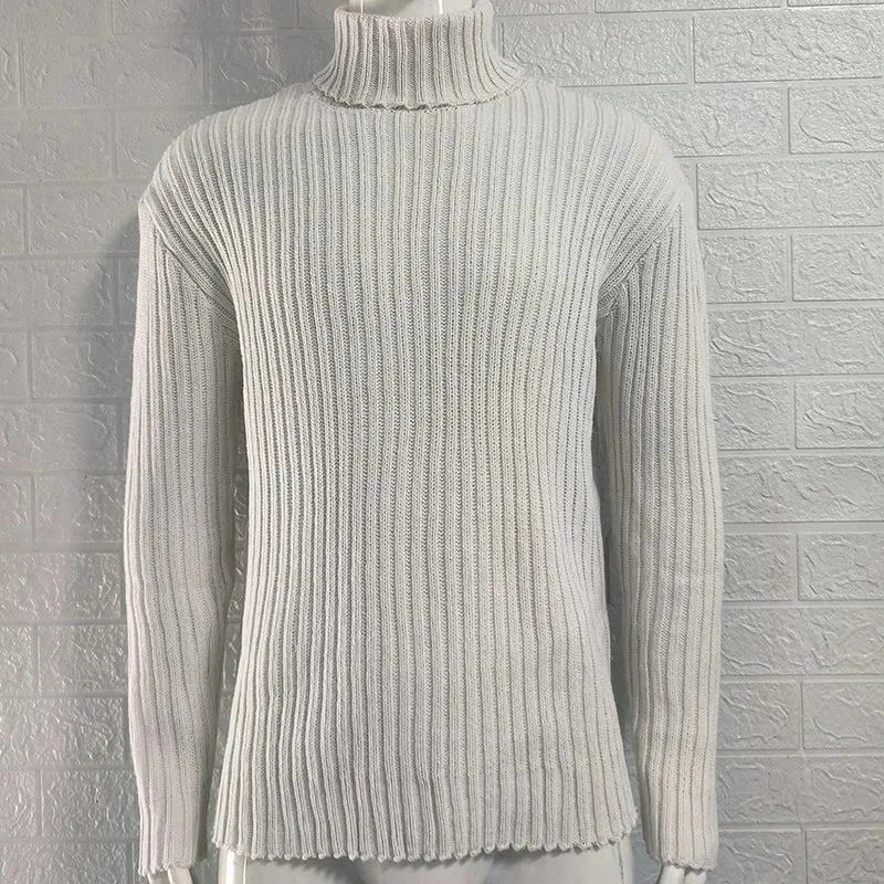 Herren Rollkragen Pullover Sweatshirt Pulli Zipper Sweater Shirt Langarmshirt