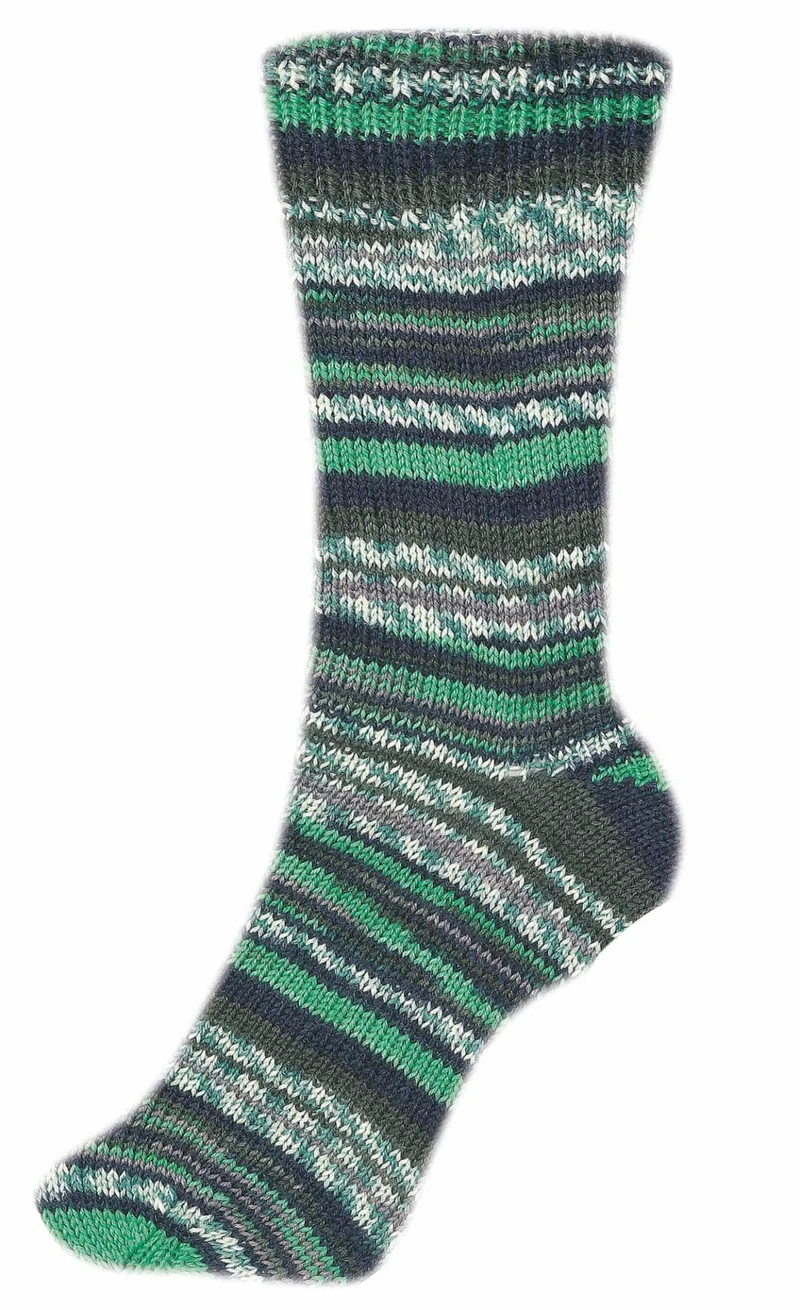 Fortissima bunte 4-fach Sockenwolle | Farbe 2495 - GRAS