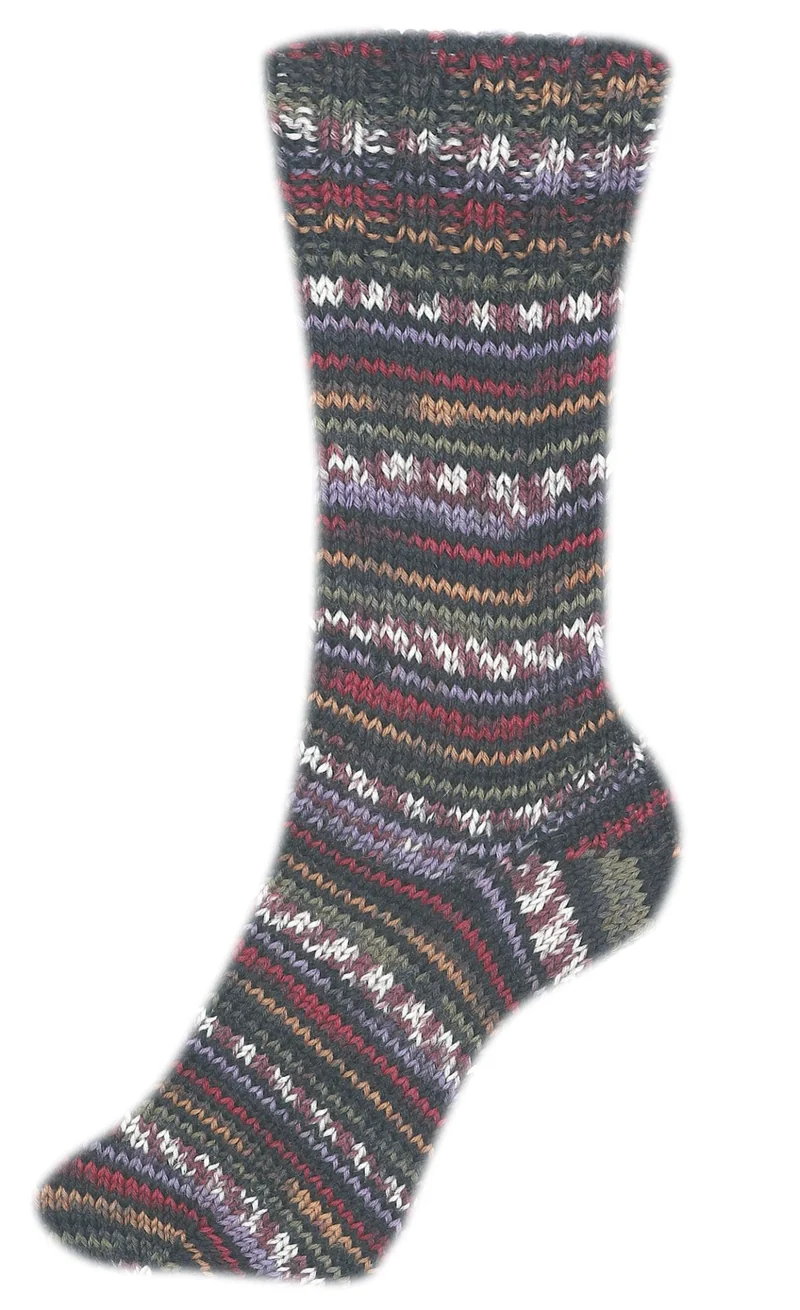Fortissima 6-fach bunte Sockenwolle 150g | Farbe 163 - BORDEAUX-BUNT