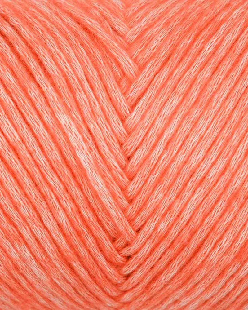 Piuma uni