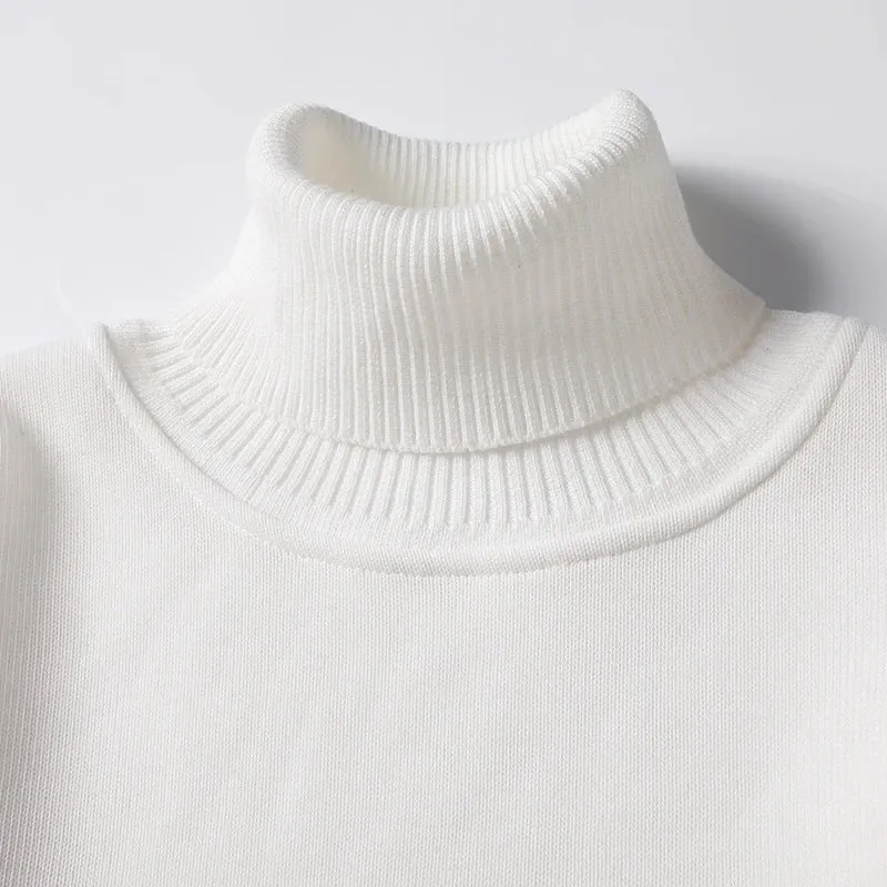 Herren Rollkragen Pullover Sweatshirt Leichter Pulli Sweater Shirt Langarmshirt