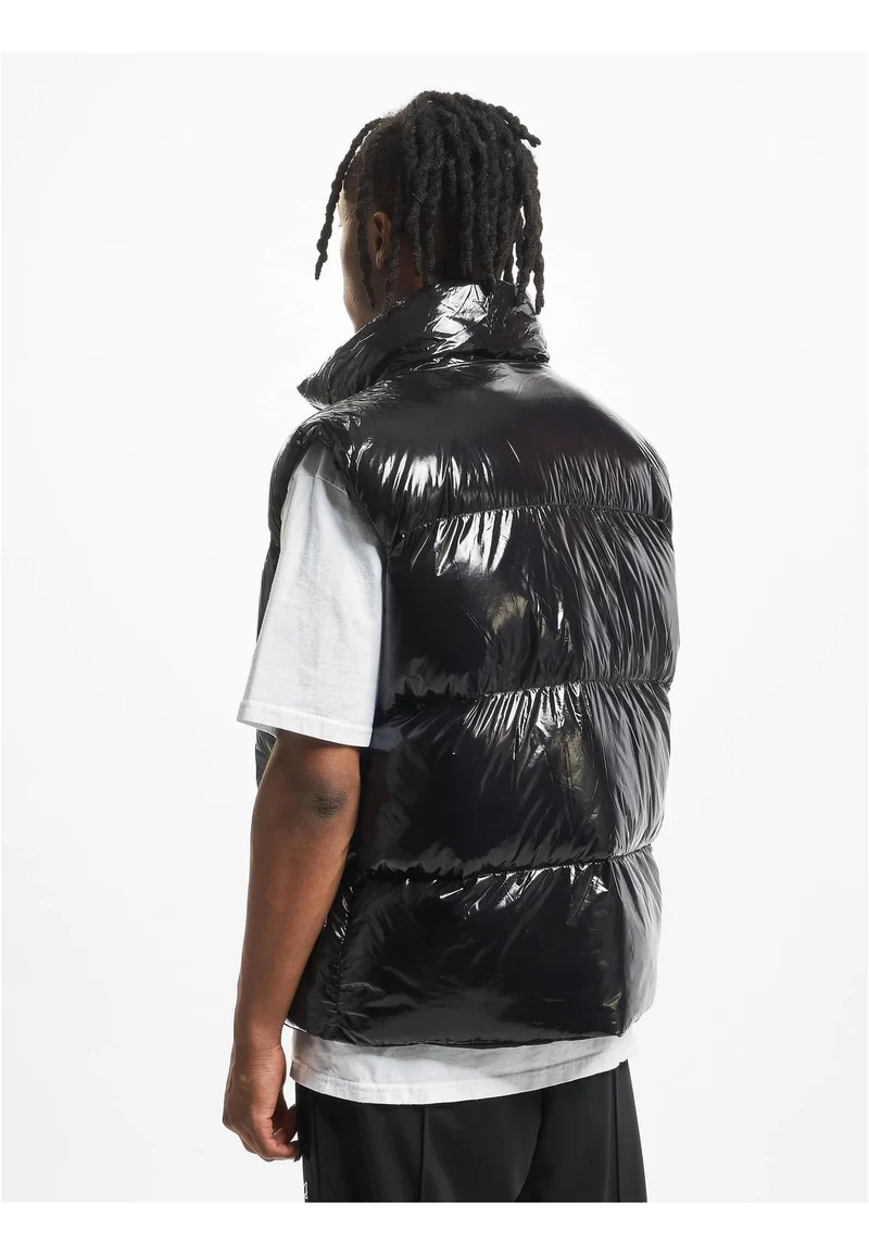 DEF Shiny Puffer