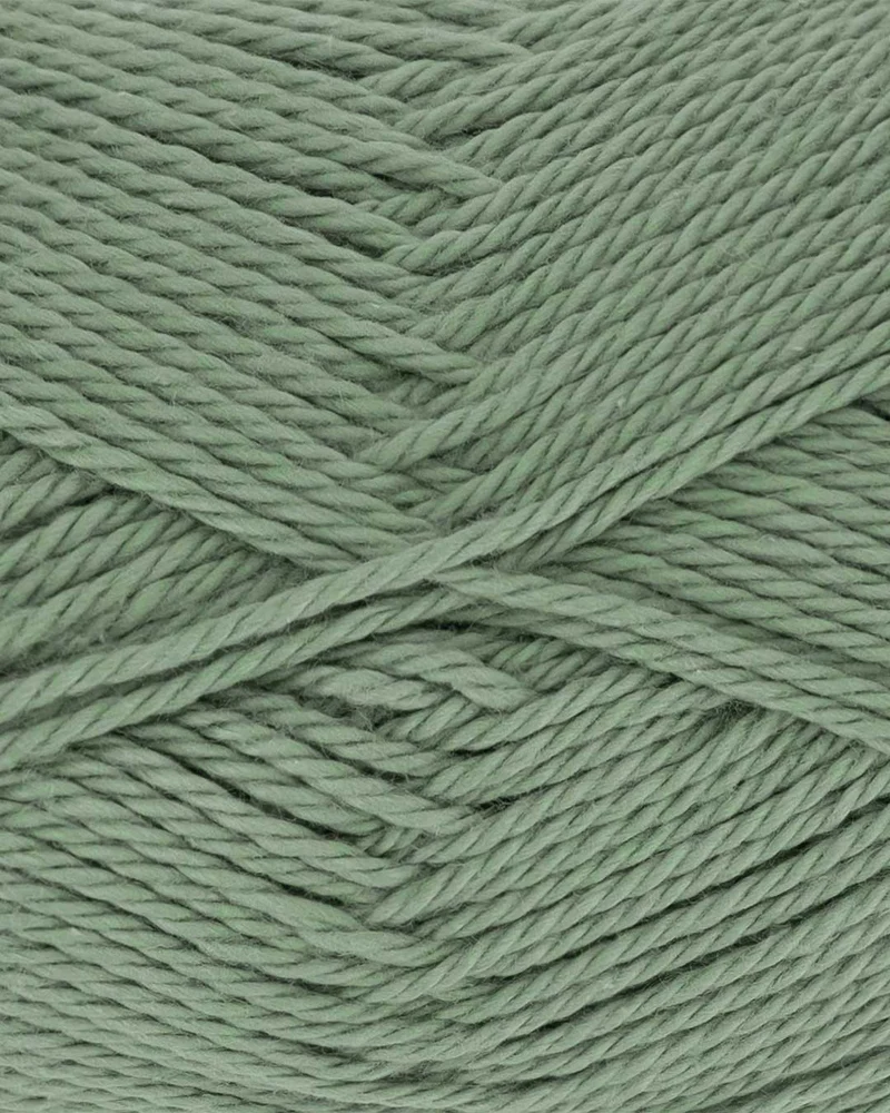 Everyday Cotton