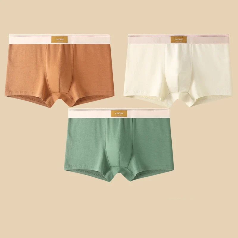 3 Pezzi Boxer Uomo Mutande Elasticizzato Slip Intimo vari colori Pantaloncino
