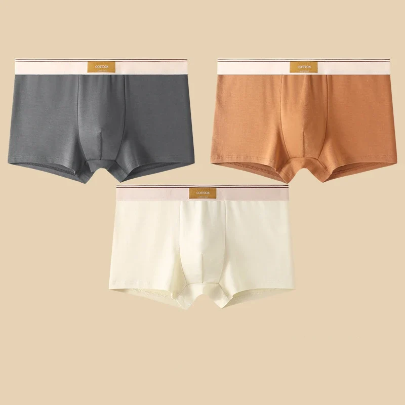3 Pezzi Boxer Uomo Mutande Elasticizzato Slip Intimo vari colori Pantaloncino