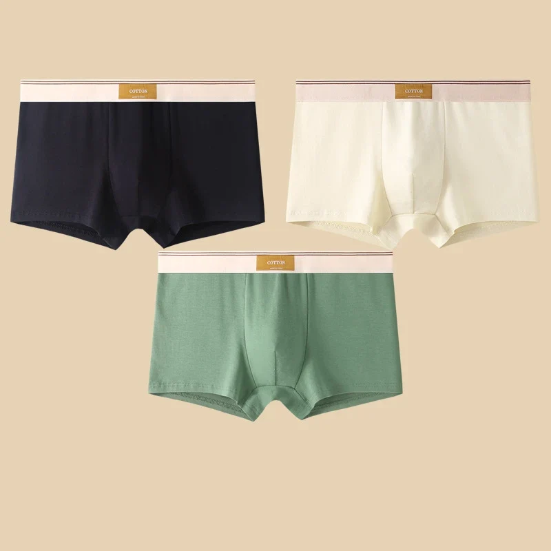 3 Pezzi Boxer Uomo Mutande Elasticizzato Slip Intimo vari colori Pantaloncino