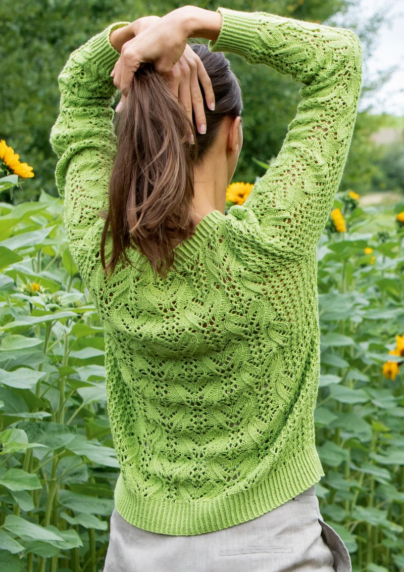Pullover Ranken