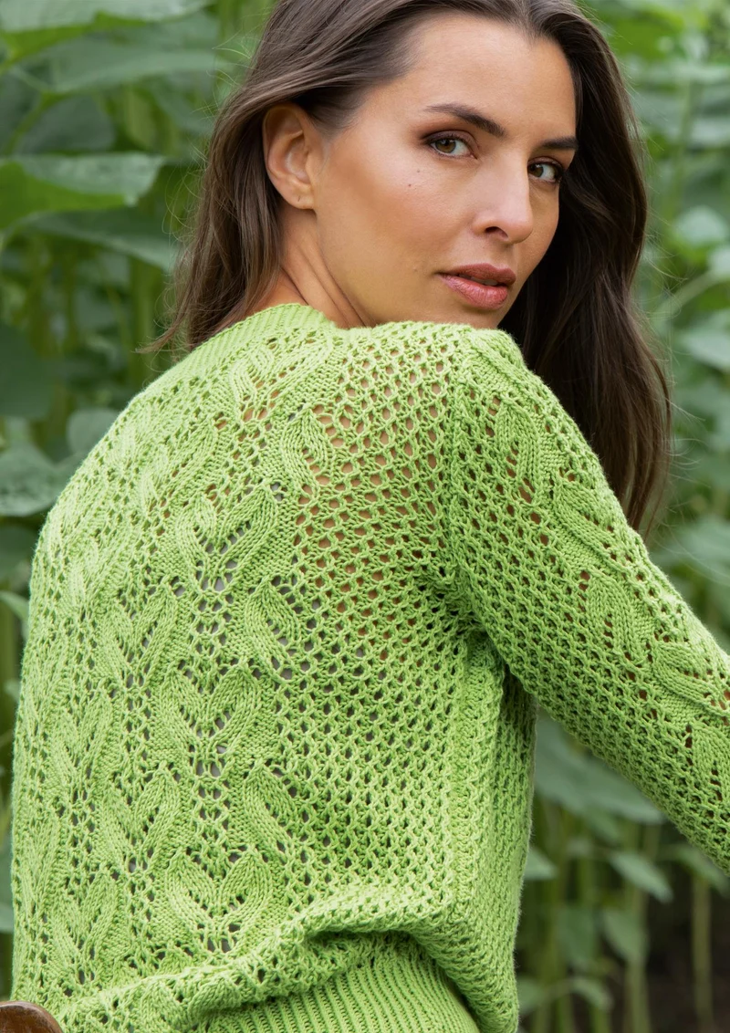 Pullover Ranken