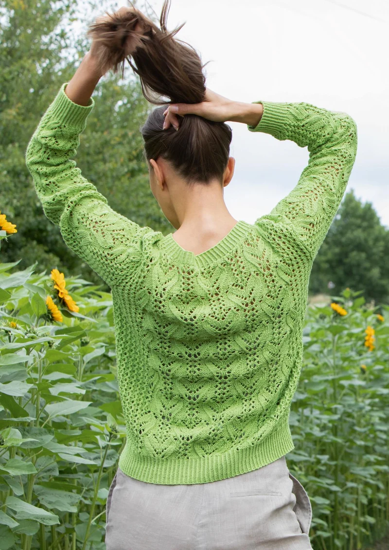 Pullover Ranken