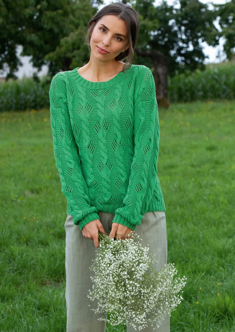 Pullover Farnwedel