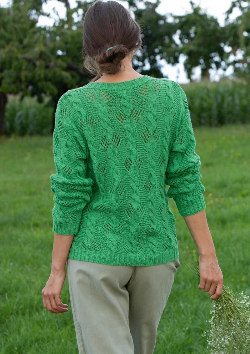Pullover Farnwedel