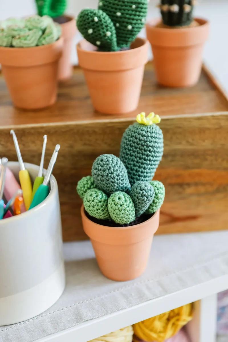 Anleitung Kaktus mit gelber Blüte