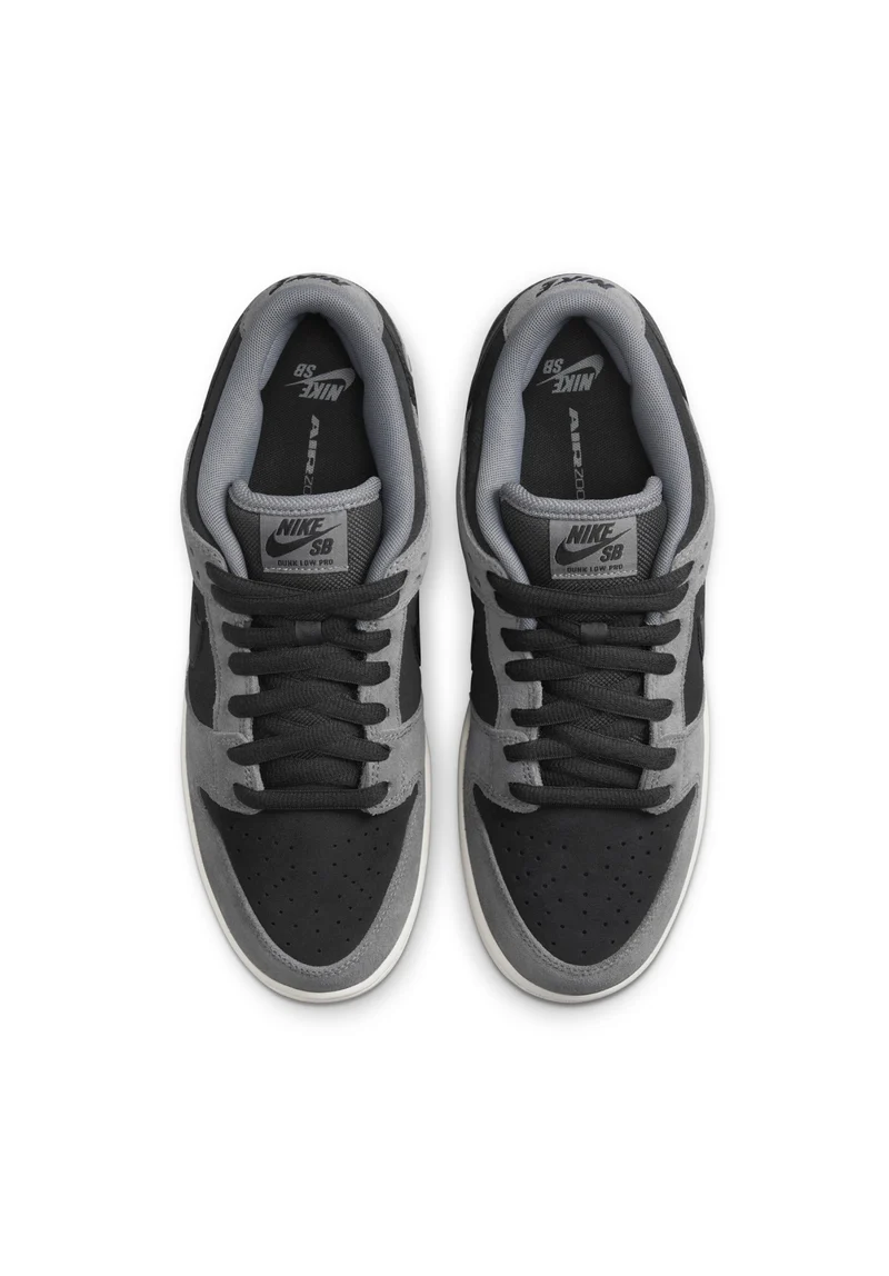 Dunk Low Pro
