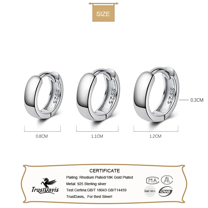 1 Paar Creolen aus 925 Sterling Silber Ohrringe Zirkonia Ohrstecker NEU