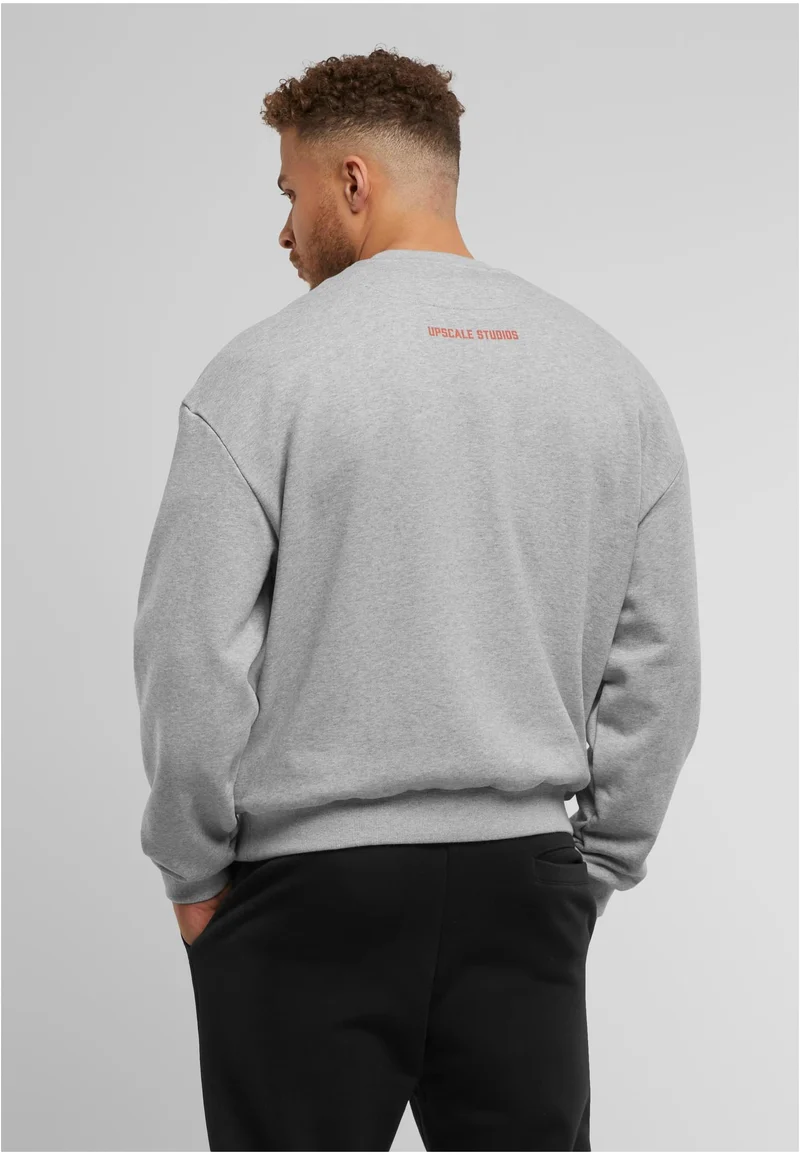 MT Texas Longhorns Austin Oversize Crewneck