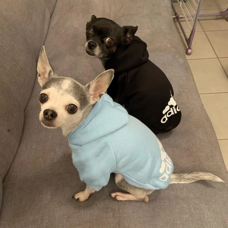 Hunde Weste Jacke Hundekleidung Hoodies Fleece Warmes Sweatshirt Haustier