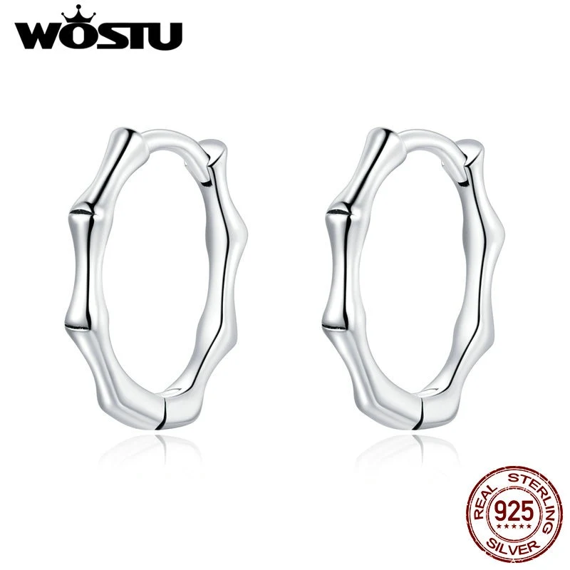 1 Paar Creolen aus 925 Sterling Silber Ohrringe Zirkonia Ohrstecker NEU