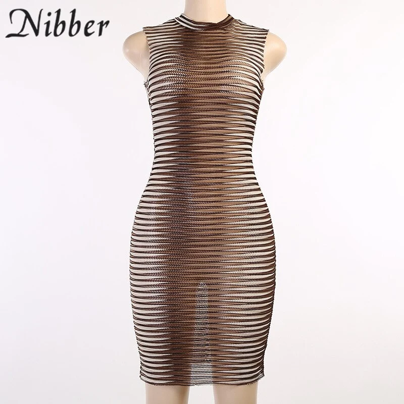Frauen Kleid durchsichtiges gestrickte elegantes ärmellose figurbetontes Sexy Minikleid