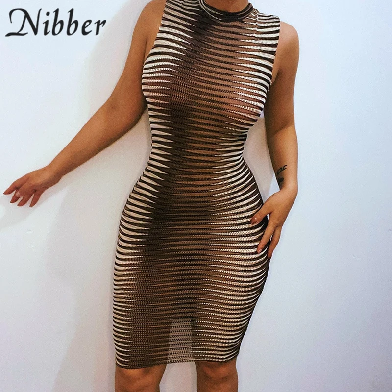Frauen Kleid durchsichtiges gestrickte elegantes ärmellose figurbetontes Sexy Minikleid