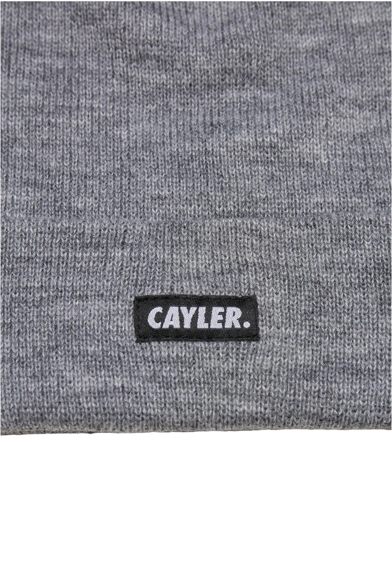 CS Basic Beanie