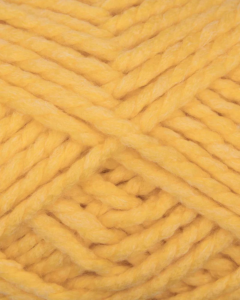 Alaska uni