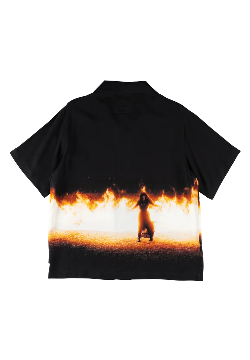 x Harry Potter Burrow Burn