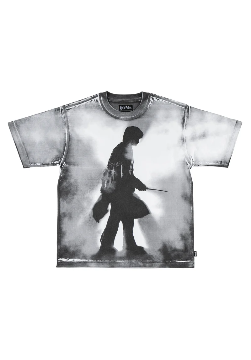 x Harry Potter Shadow