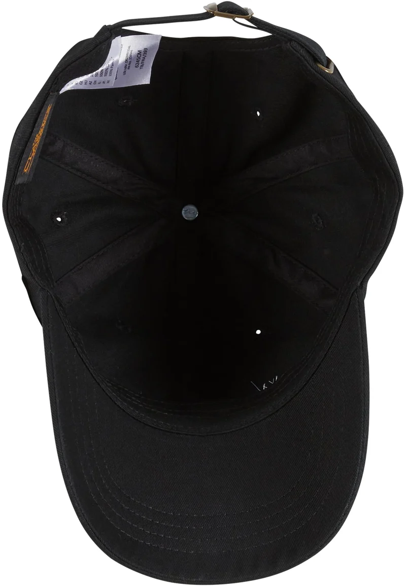 MT Upscale Theorie de Chaos Dad Cap