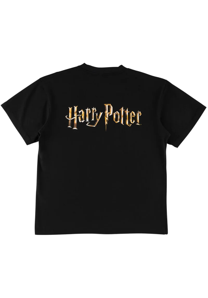x Harry Potter Arrival