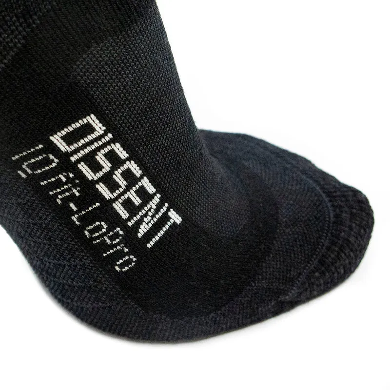 Ski socks - Dissent IQ Fit LoPro