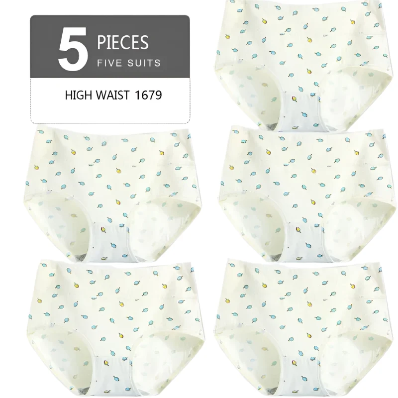 Set mit 5 hochgeschnittenen Baumwollslips für Damen – atmungsaktive Komfortslips