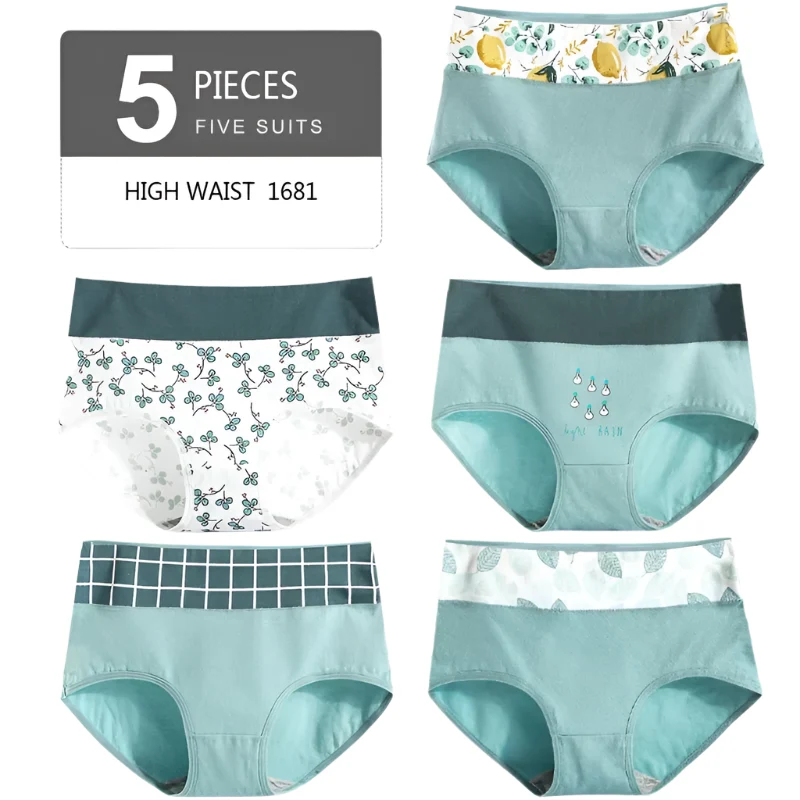 Set mit 5 hochgeschnittenen Baumwollslips für Damen – atmungsaktive Komfortslips