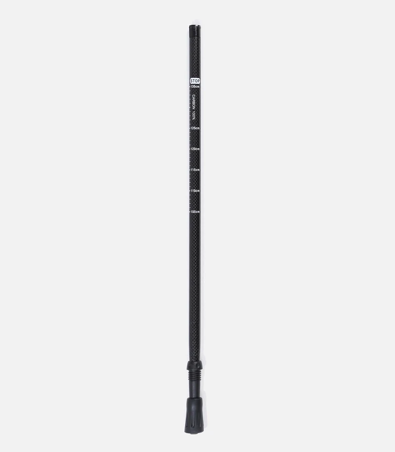 BRIN INFÉRIEUR CARBON100