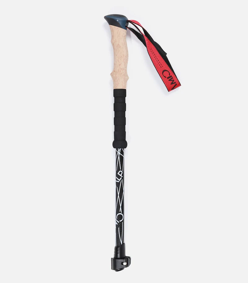 BRIN SUPÉRIEUR CARBON100